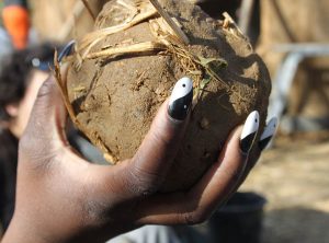 Cob building