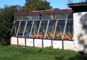 Greenhouses & polytunnels