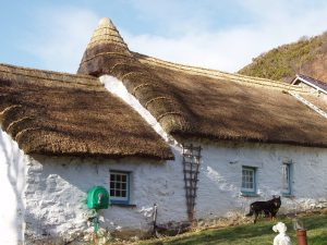 Thatching