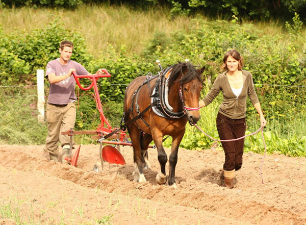 land workers alliance