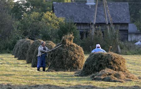 polish farmers