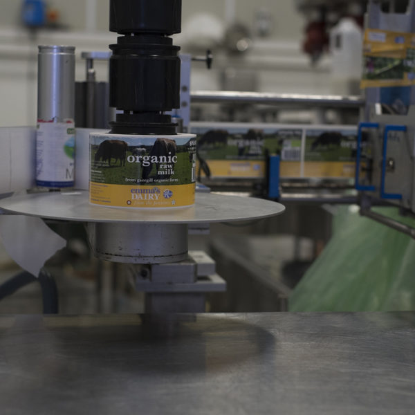 Organic raw milk production at Gazegill Farm