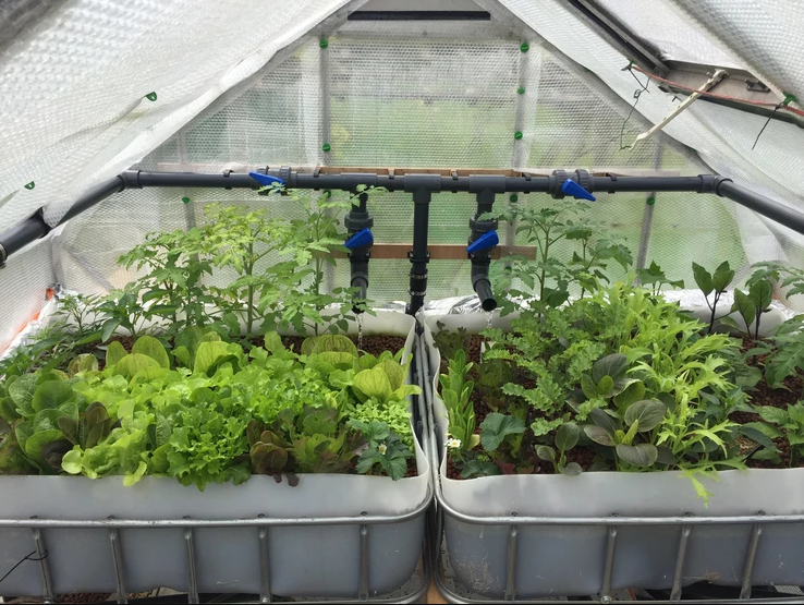 Pete Blunsdon shows us how to build your own aquaponics greenhouse