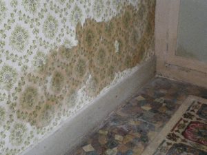 Unless your house is old, you probably don’t have rising damp, and if you do, modern damp-proofing methods probably won’t work