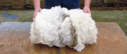 The Wool Journey Part 6: a freshly graded, sorted and clean fleece ready to store