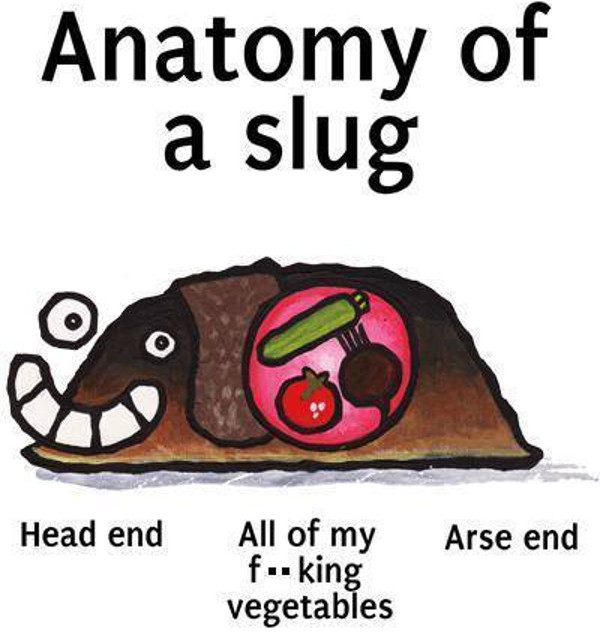 Anatomy of a slug: how to stop slugs naturally