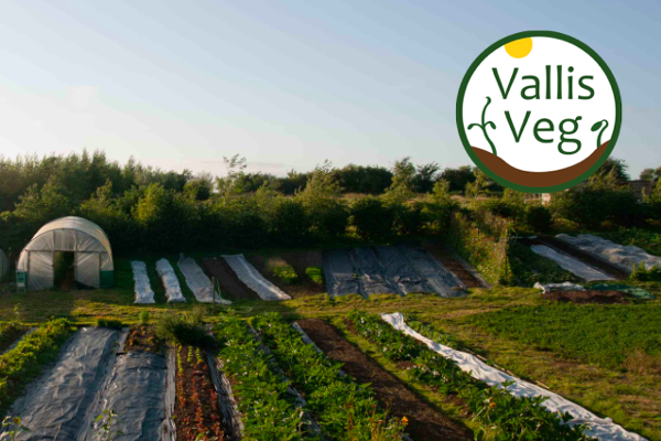 2021 internship at Vallis Veg