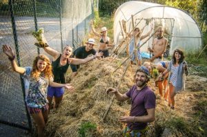 A guide to WWOOFing: 10 top tips from Scarlett Penn of WWOOF UK