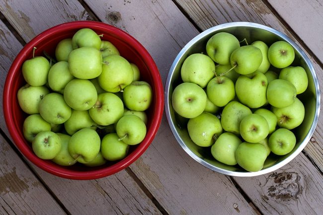 Apple harvest