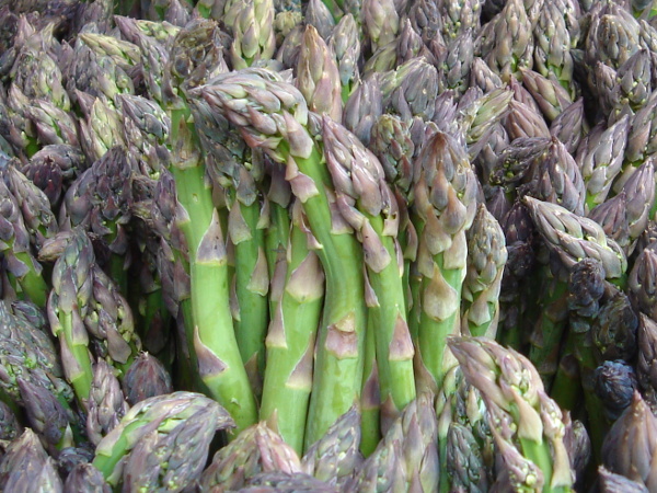 Asparagus makes an appearance in our fruit and vegetable growing guide for May