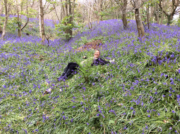 bluebells