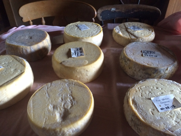 cheesemaking