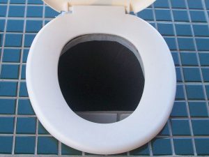 Compost toilets