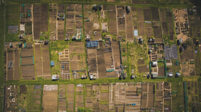 Allotments in Melton Mowbray