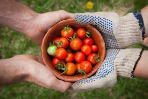 How to start a community garden: Part 3