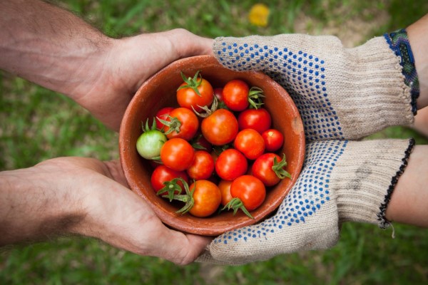 How to start a community garden Part 3