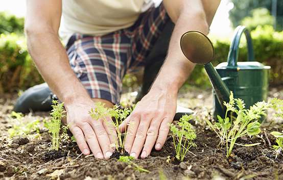 Laying down roots at Heartwood Community