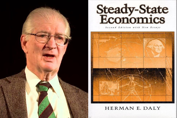 Herman Daly's Steady State Economics: challenging the corporate banking system