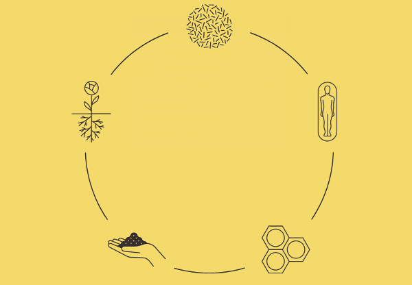 Human composting diagram