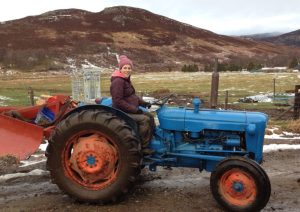 Life on Birchwood Croft: tales of smallholding in the Scottish Highlands