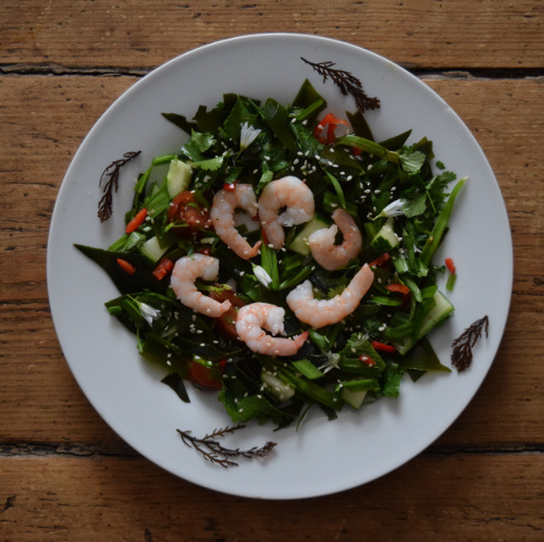 An edible seaweed salad with kelp and prawns