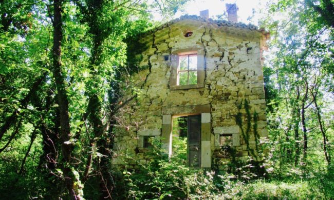 An abandoned building: is repopulation possible?