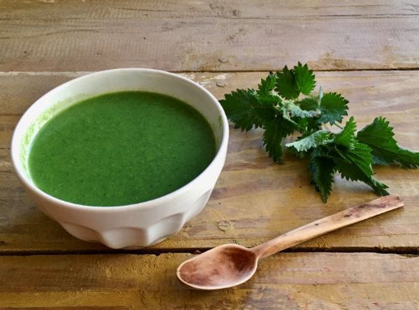 April forage of the month : nettle soup