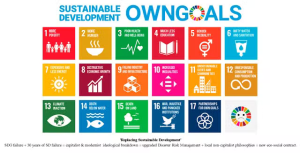 Is it time to rethink the UN’s Sustainable Development Goals?