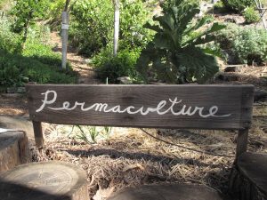 Permaculture