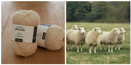 Yarn and sheep