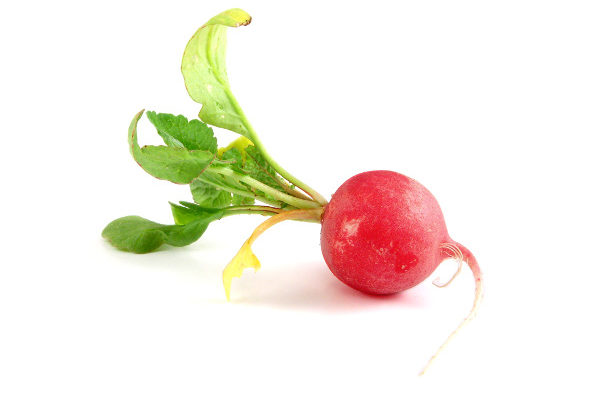 From radish to radical...