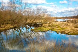 Bring on the peat ban – no garden should cost the Earth