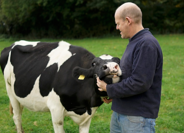 Raw milk farmer Steve Hook - a.k.a The Moo Man!