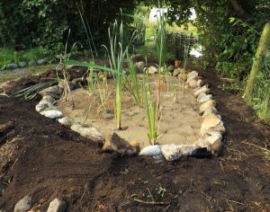 Installing a horizontal-flow reedbed