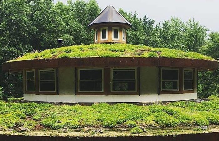 One of many living green roofs built by Sigi Koko