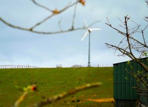 Here’s how to get your electricity from a new co-operative with medium-sized wind turbines on farms