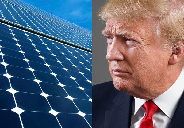 Why does Donald Trump scorn renewable energy so much?