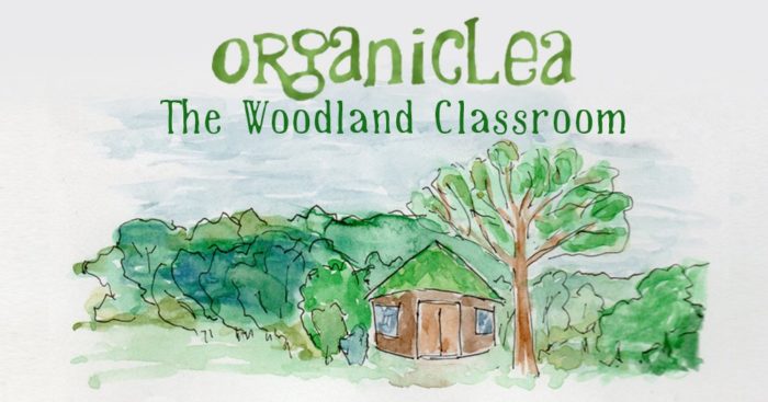 Can you help OrganicLea build their new woodland classroom?