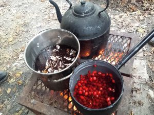 Autumn foraging season soon – here’s some inspiration